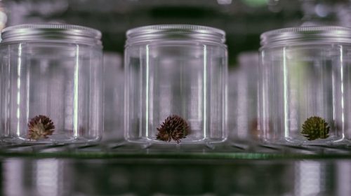 maria-teneva-rMtdZ9jGxYM-unsplash